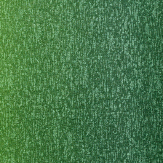 [다이와보] 다이와보셀렉션 프린트 원단