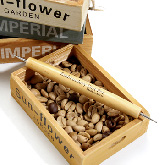 썸네일(스크롤)