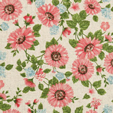 썸네일(스크롤)