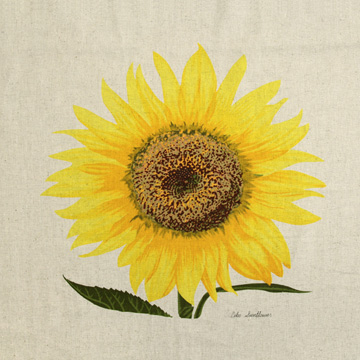 [국산린넨] 대폭 해바라기 린넨 프린트 커트지 - 150cm x 60cm (개)
