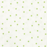 썸네일(스크롤)