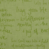 썸네일(스크롤)