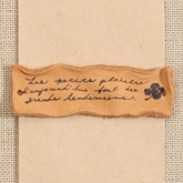 썸네일(스크롤)