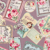 썸네일(스크롤)