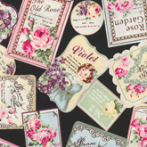 썸네일(스크롤)