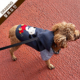 썸네일(스크롤)