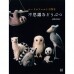 썸네일(스크롤)