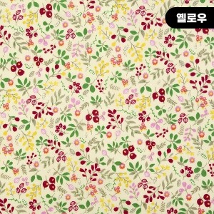 [수입원단] 대폭 면원단 후루츠랜드 프린트원단 ☆ (1/2Yd)