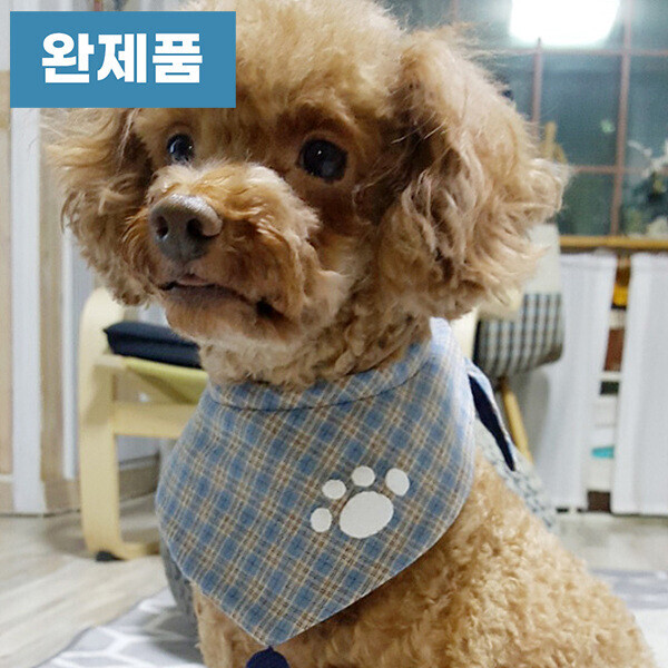 [바이핸즈] 퀼트완제품 소품 - 애견 요일스카프 (블루헤븐)